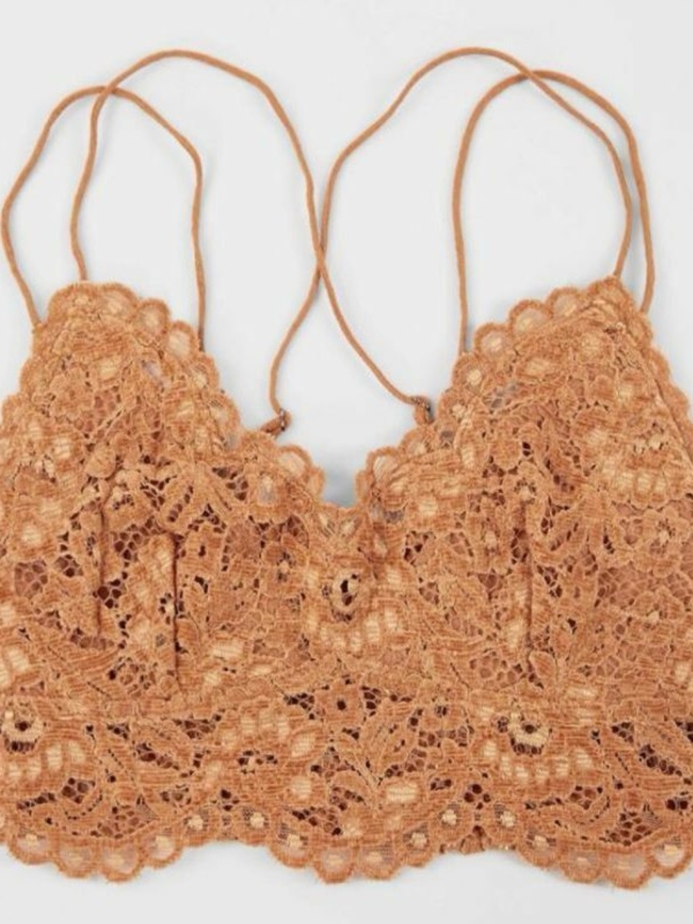Free People Floral Lace Bralette in Tan